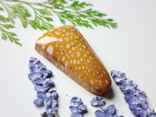 Spotted Fawn jasper