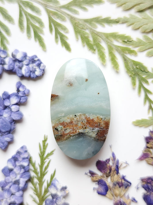 BC Ocean picture stone