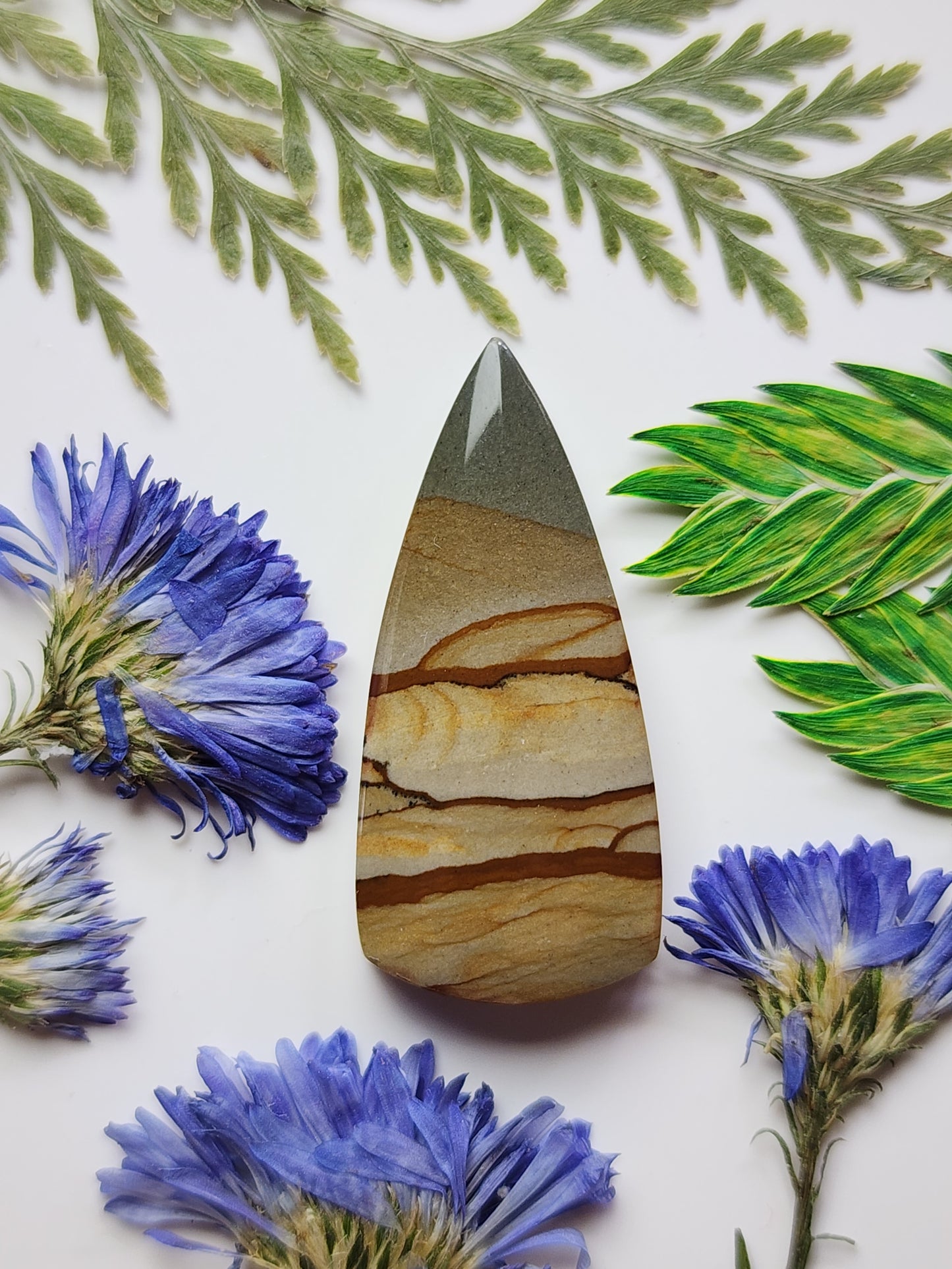 Cripple Creek picture jasper