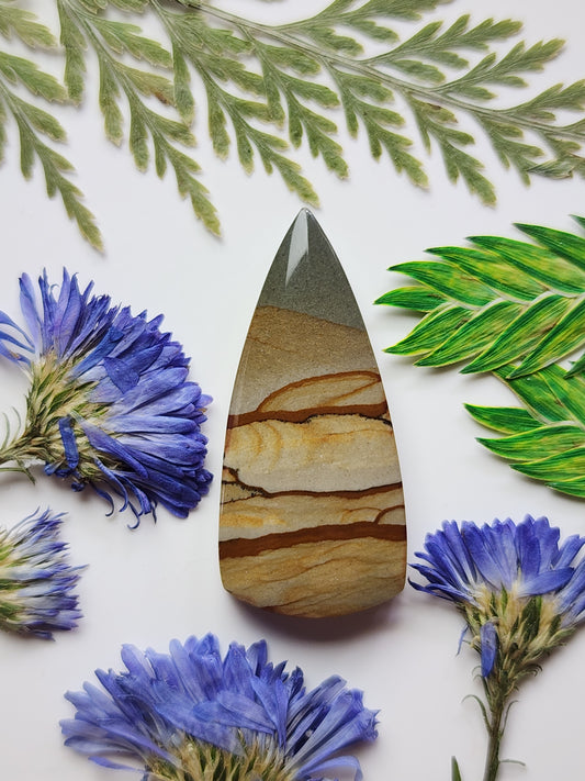 Cripple Creek picture jasper