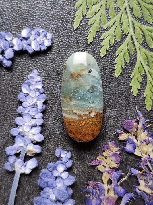 BC Ocean Picture Stone