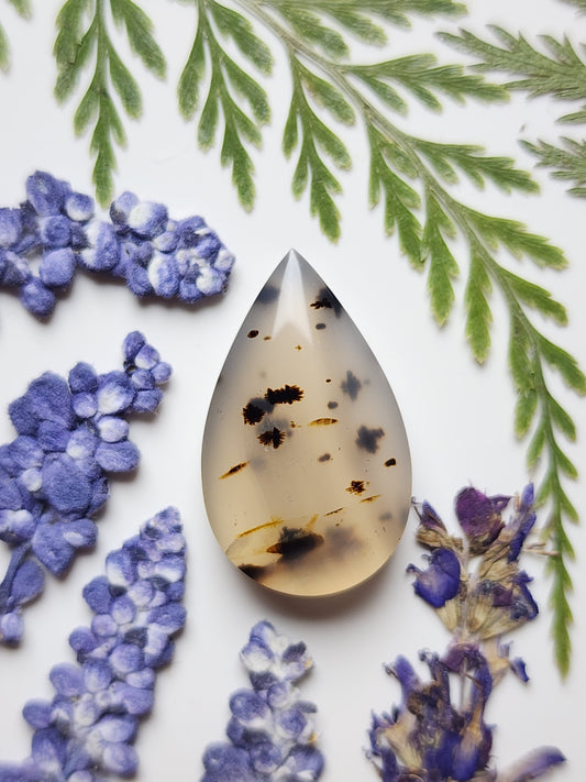 Montana agate