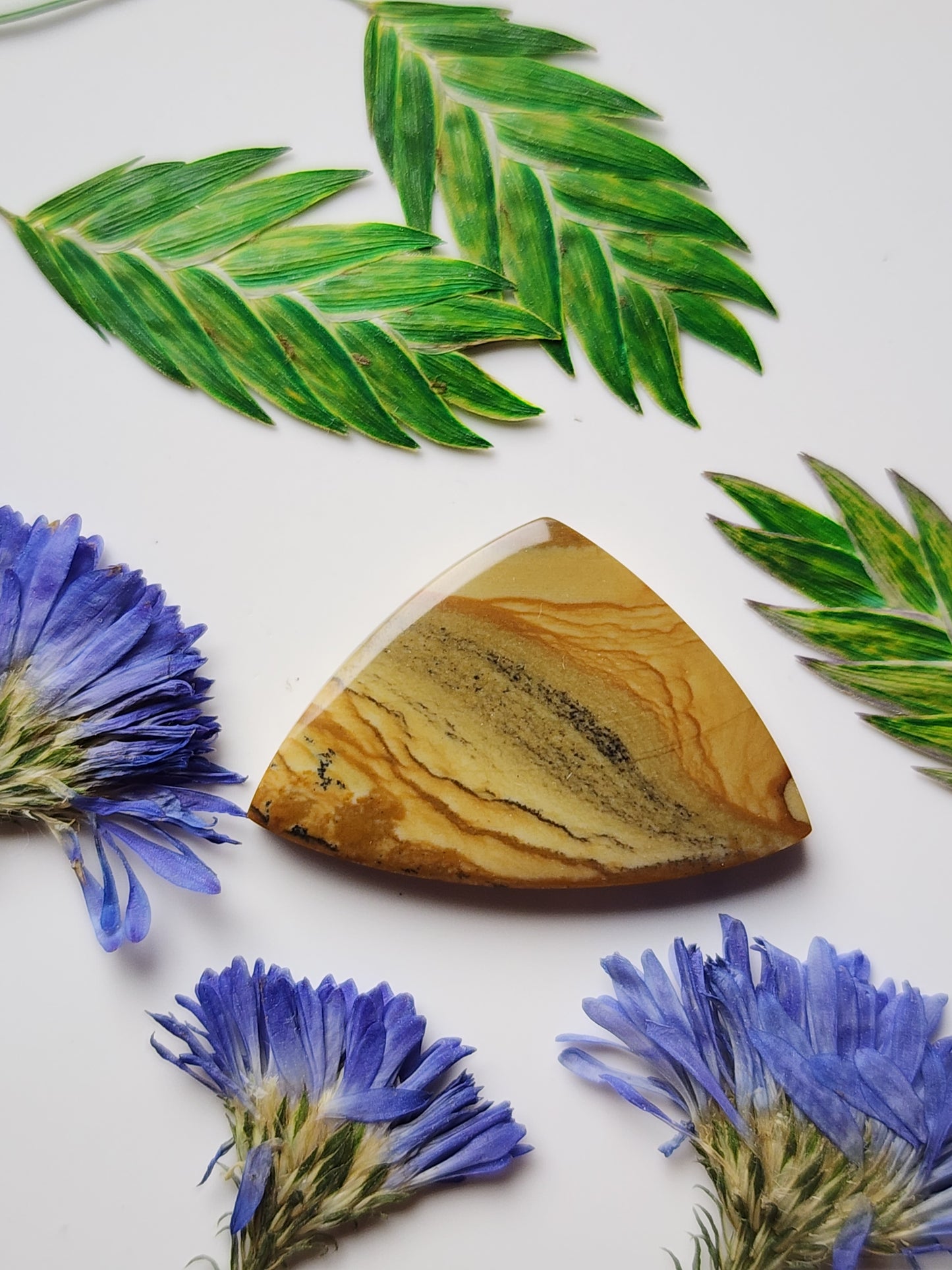 Owyhee picture jasper