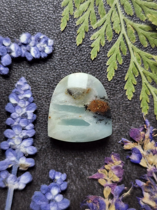 BC Ocean Picture Stone