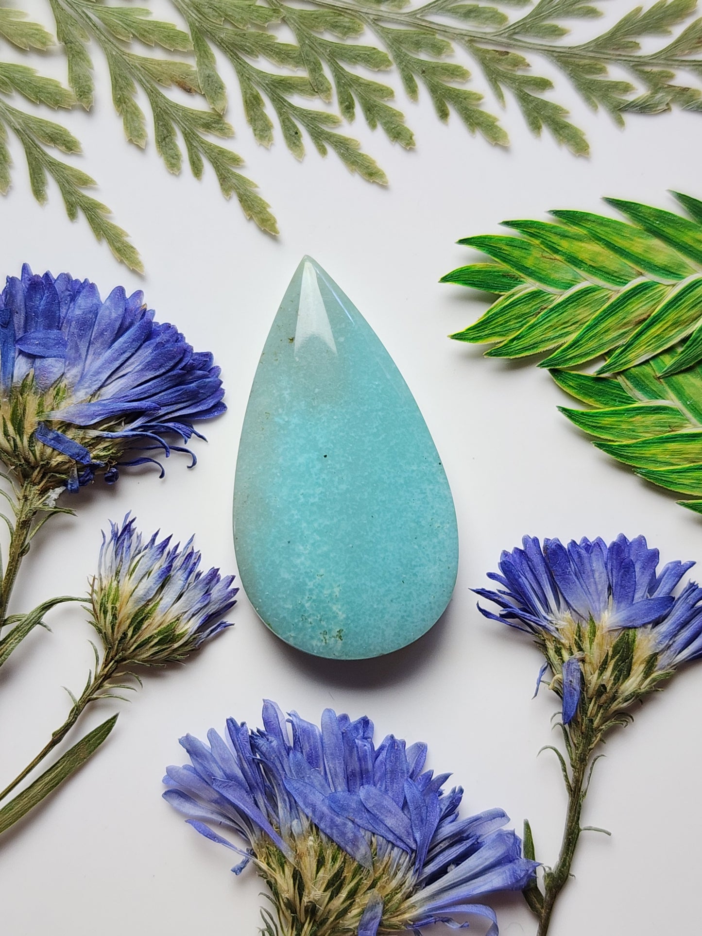 Petrified Blue opalized wood