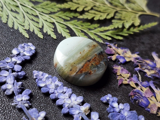 BC Ocean Picture Stone