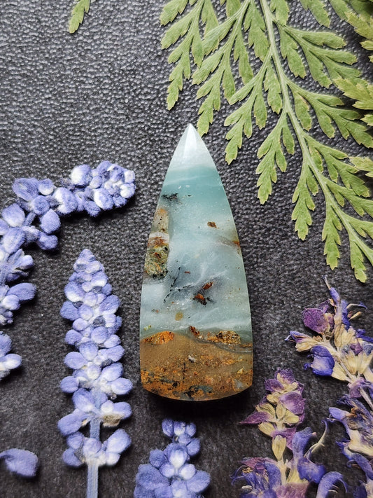 BC Ocean Picture Stone