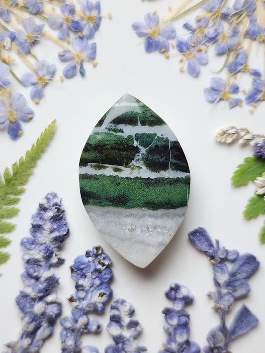 Green Zebra jasper