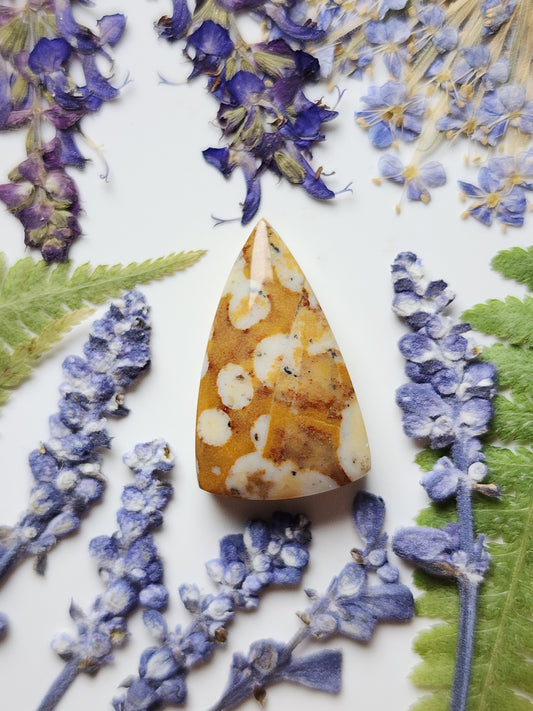 Spotted Fawn jasper