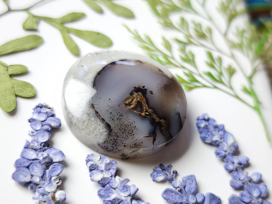 Montana agate