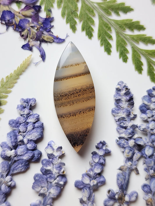 Montana agate