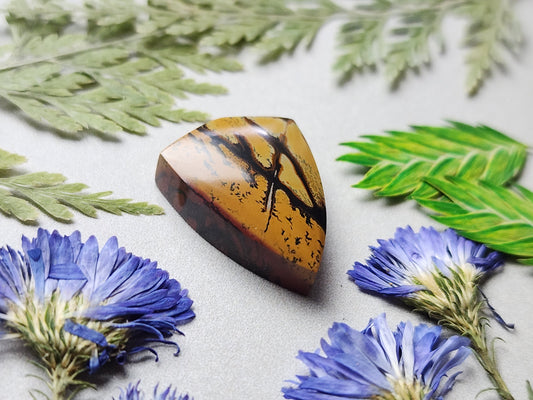 Indian paint stone