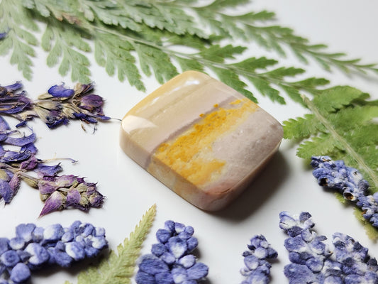 Polychrome jasper