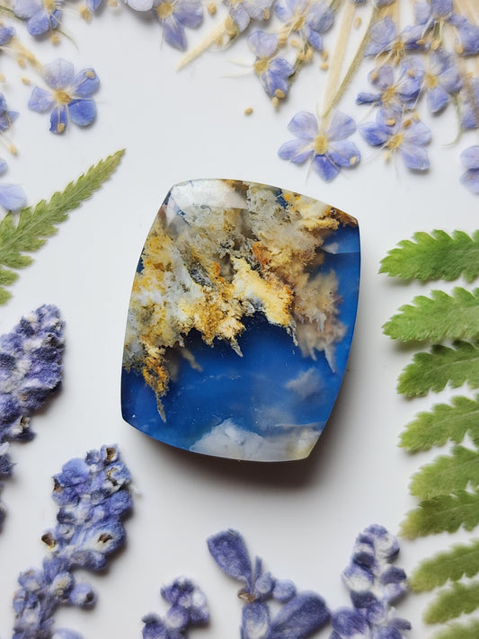 North ridge plume agate Doublet