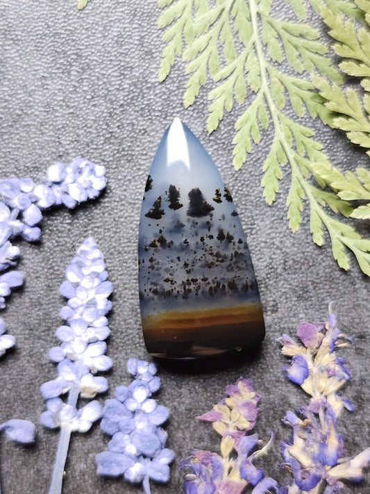 Montana agate