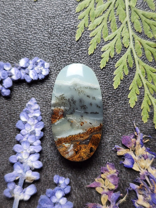 BC Ocean Picture Stone