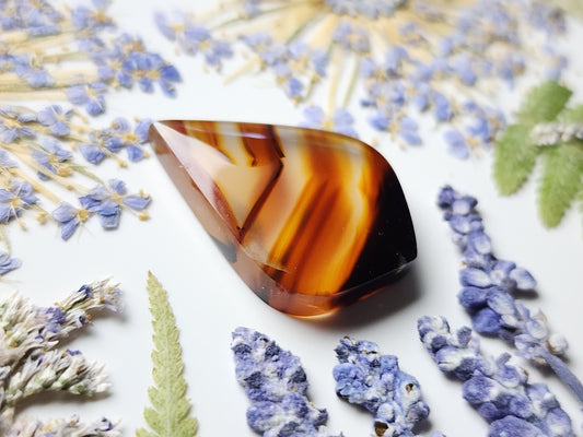 Montana agate