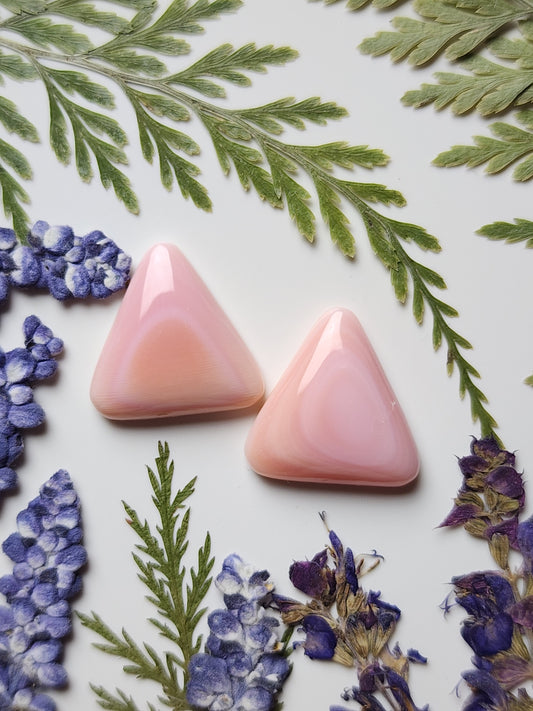 Pink Conch shell pair