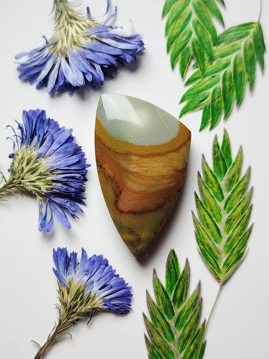 Rocky Butte picture jasper