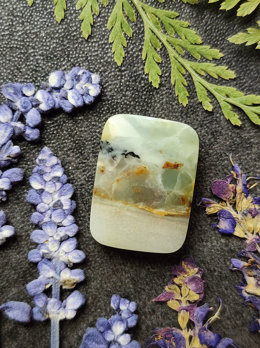 BC Ocean Picture Stone