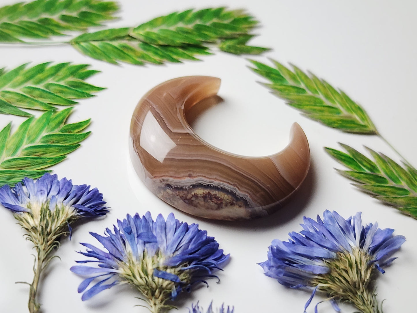 Agua Nueva agate crescent