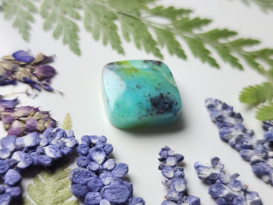 Petrified Blue opalized wood