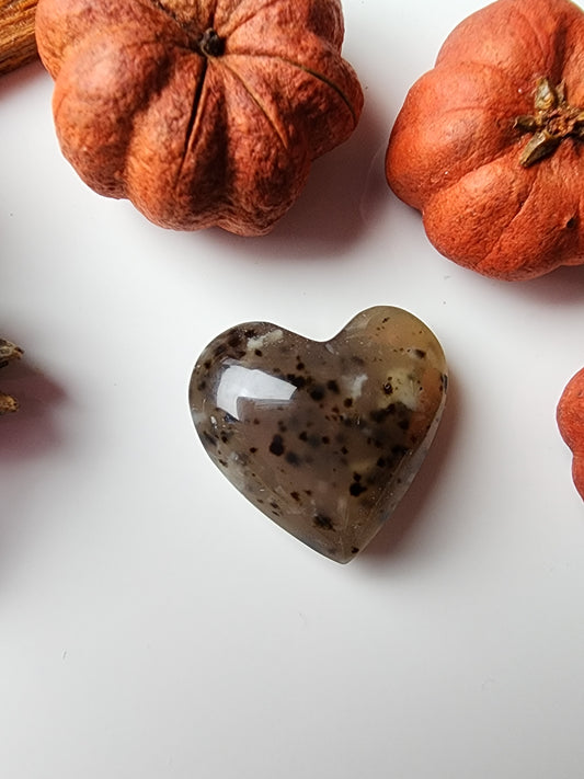 Montana agate